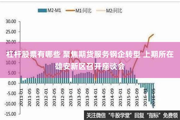 杠杆股票有哪些 聚焦期货服务钢企转型 上期所在雄安新区召开座谈会