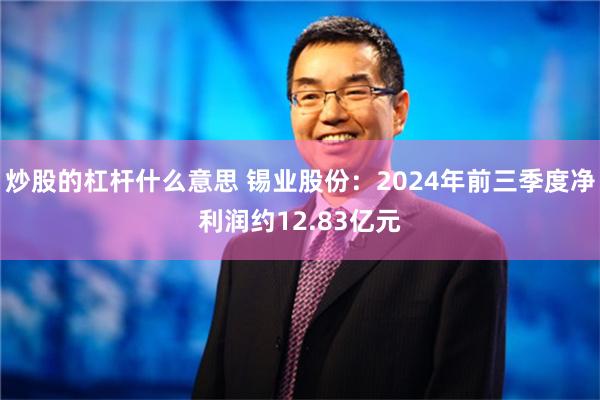 炒股的杠杆什么意思 锡业股份：2024年前三季度净利润约12.83亿元