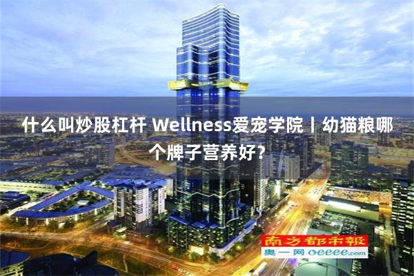 什么叫炒股杠杆 Wellness爱宠学院丨幼猫粮哪个牌子营养好？