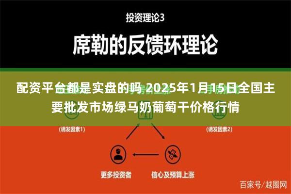 配资平台都是实盘的吗 2025年1月15日全国主要批发市场绿马奶葡萄干价格行情