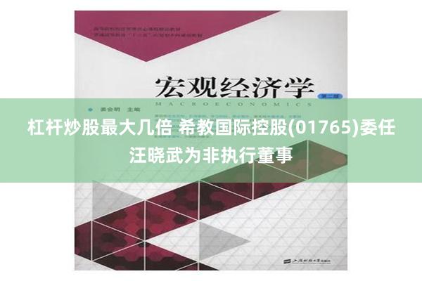 杠杆炒股最大几倍 希教国际控股(01765)委任汪晓武为非执行董事